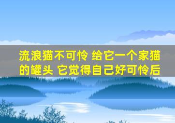 流浪猫不可怜 给它一个家猫的罐头 它觉得自己好可怜后